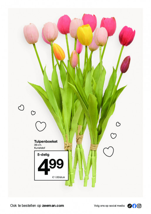 Zeeman Folder 17.01.2026