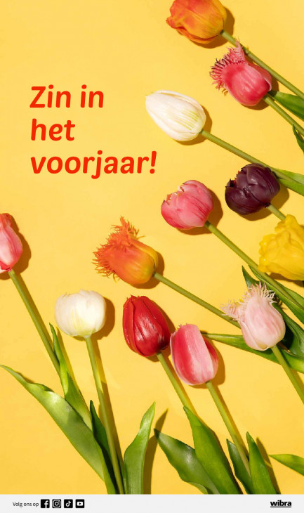 Wibra Folder 19.01.2026