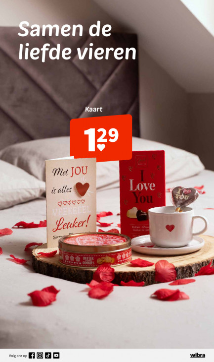 Wibra Folder 19.01.2026