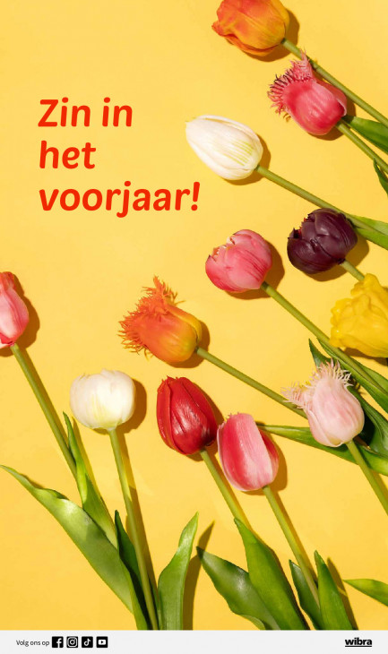 Wibra Folder 19.01.2026