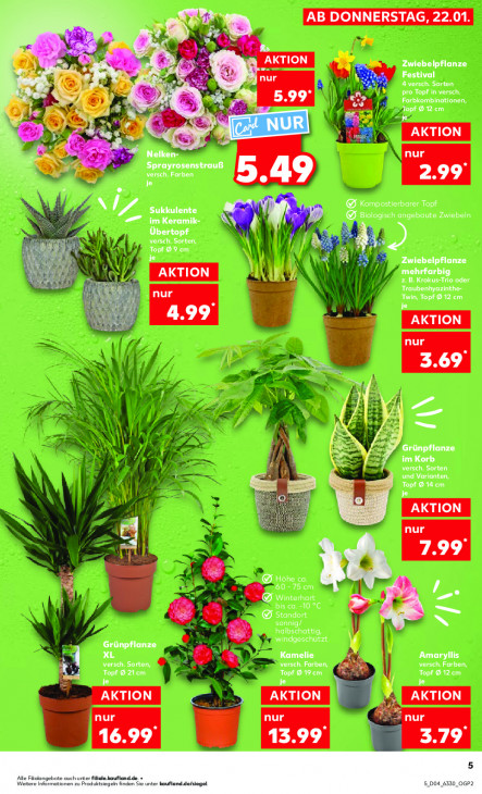 Kaufland - woche-4-ab-22-01-2026-bis-28-01-2026-seite-5-pzwyw