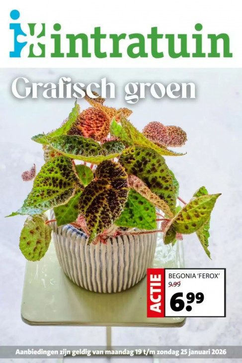 Intratuin Folder 19.01.2026