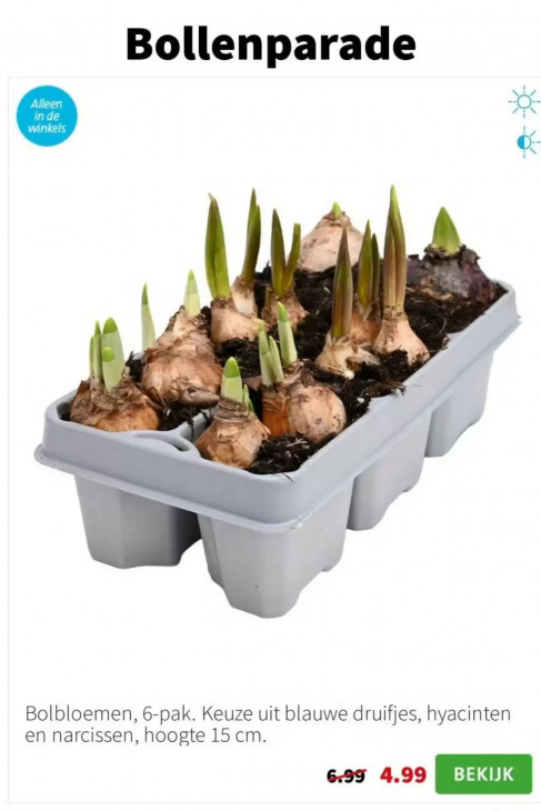 Intratuin Folder 19.01.2026