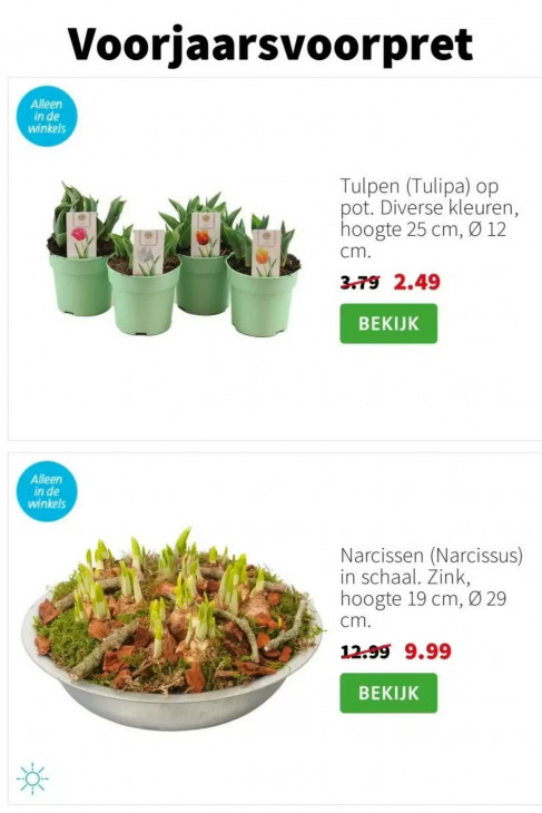 Intratuin Folder 19.01.2026