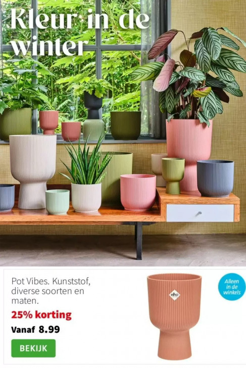 Intratuin Folder 19.01.2026