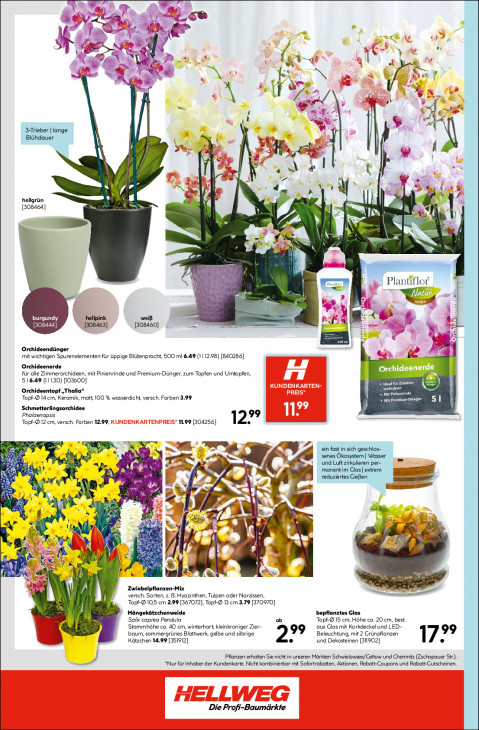 Hellweg Baumarkt Angebote ab 19.01.26 bis 24.01.26