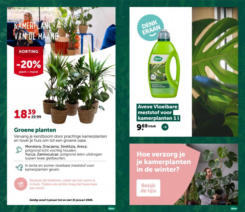 AVEVE Folder 21.01.2026