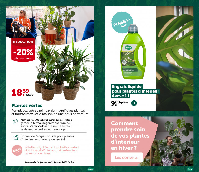 AVEVE Dépliant 21.01.2026