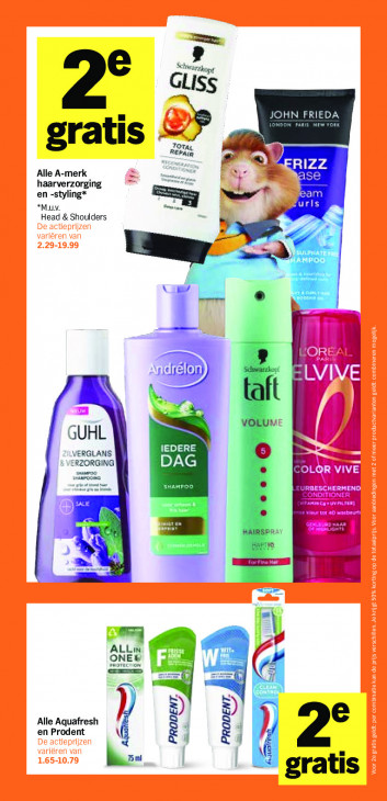 Albert Heijn Folder 26.01.2026