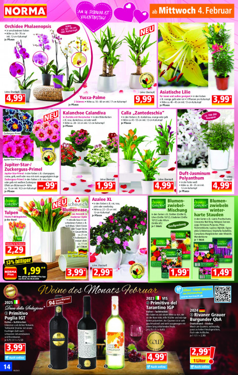 Norma Angebote ab 02.02.26 bis 07.02.26