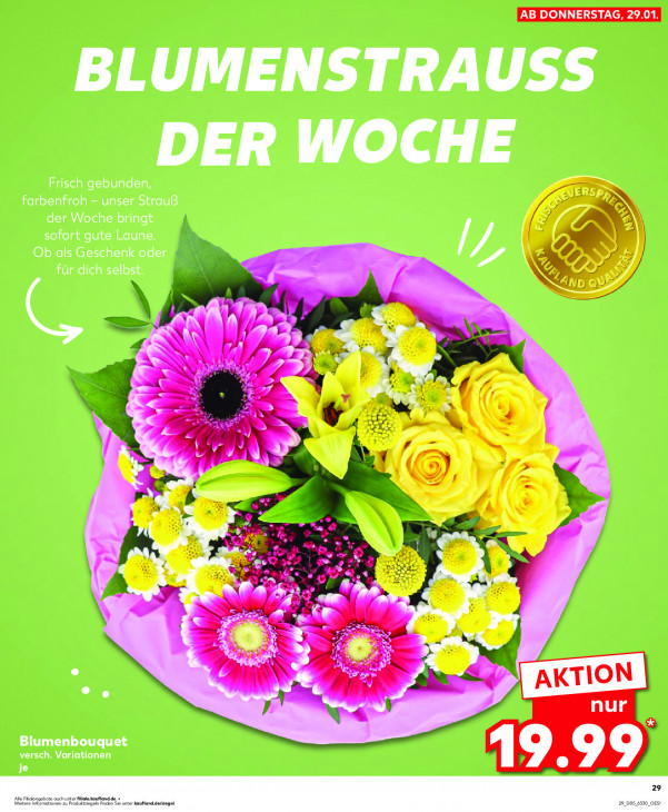 Kaufland - woche-5-ab-29-01-2026-bis-04-02-2026-seite-29-oeyyj