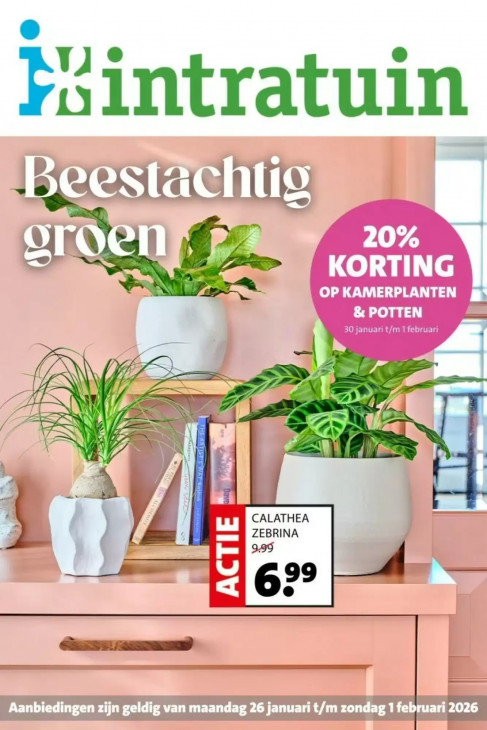 Intratuin Folder 26.01.2026