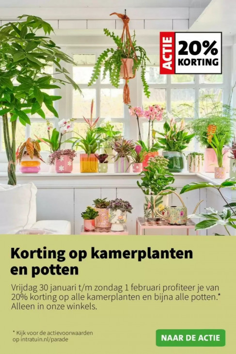 Intratuin Folder 26.01.2026