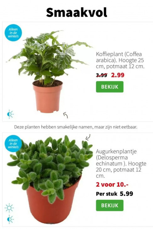 Intratuin Folder 26.01.2026