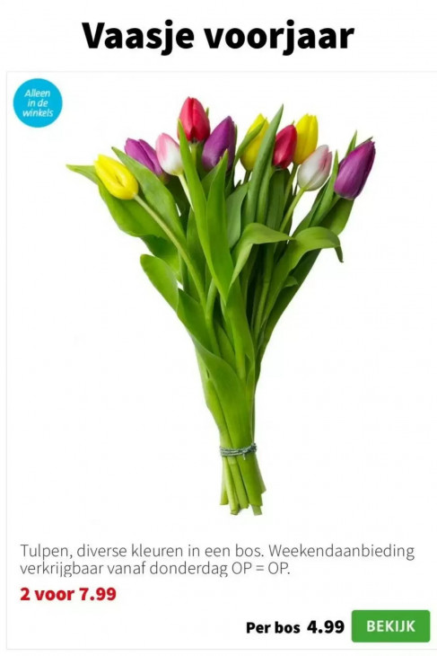 Intratuin Folder 26.01.2026