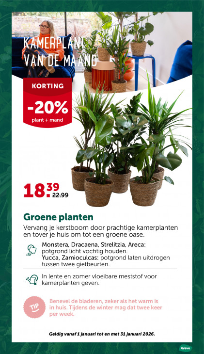 AVEVE Folder 28.01.2026