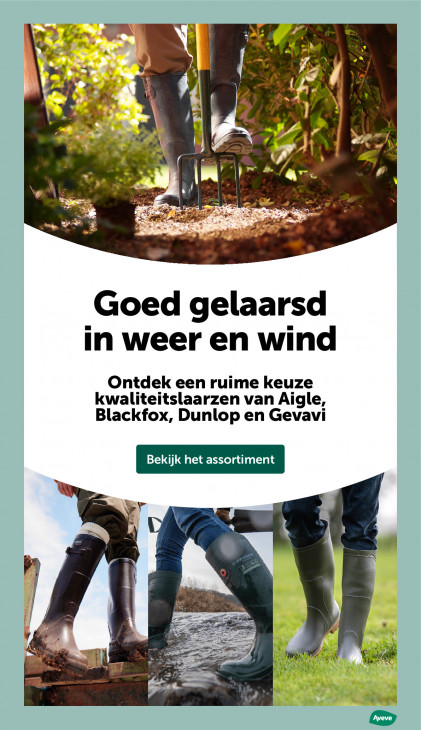 AVEVE Folder 28.01.2026