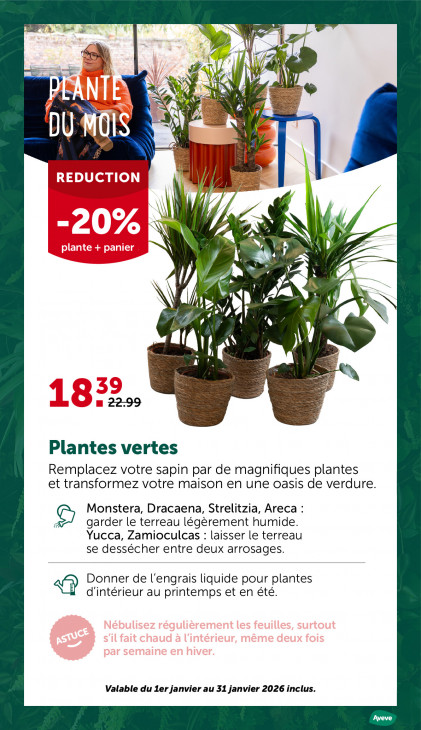 AVEVE Dépliant 28.01.2026