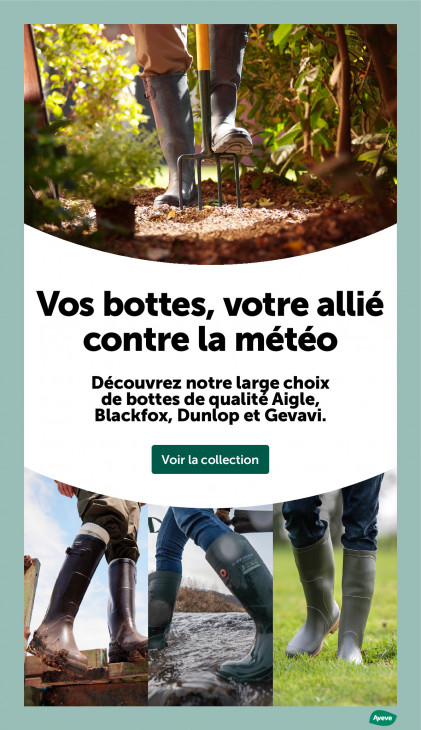 AVEVE Dépliant 28.01.2026