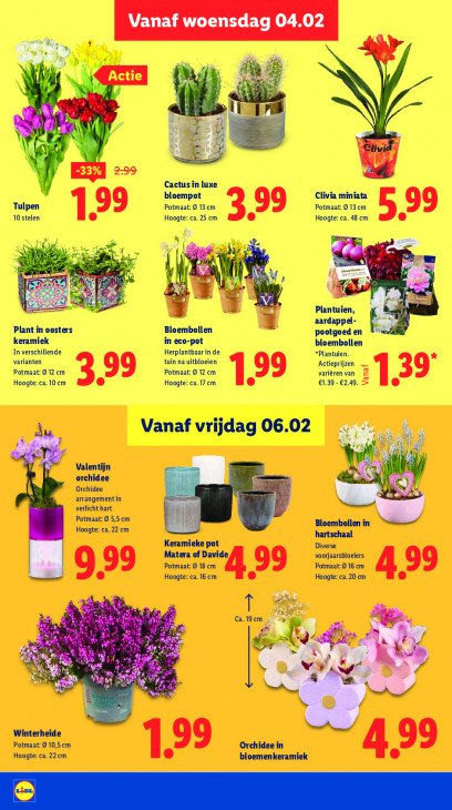 Lidl Folder 02.02.2026