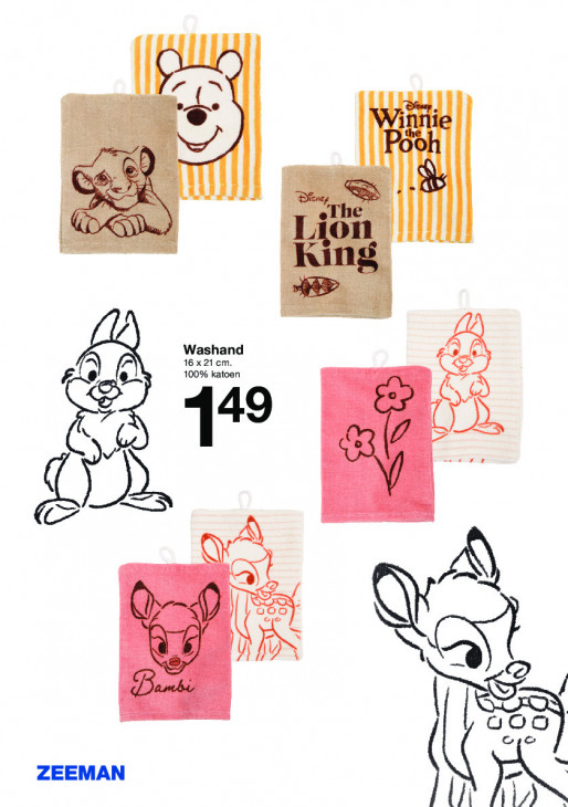 Zeeman Folder 31.01.2026