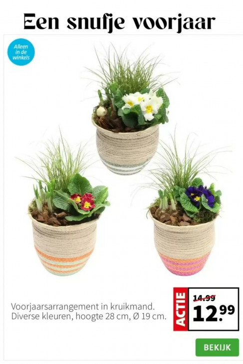 Intratuin Folder 02.02.2026