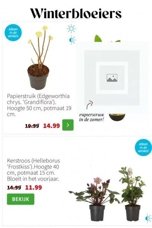 Intratuin Folder 02.02.2026