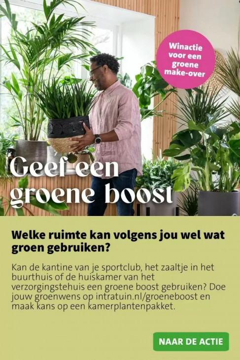 Intratuin Folder 02.02.2026