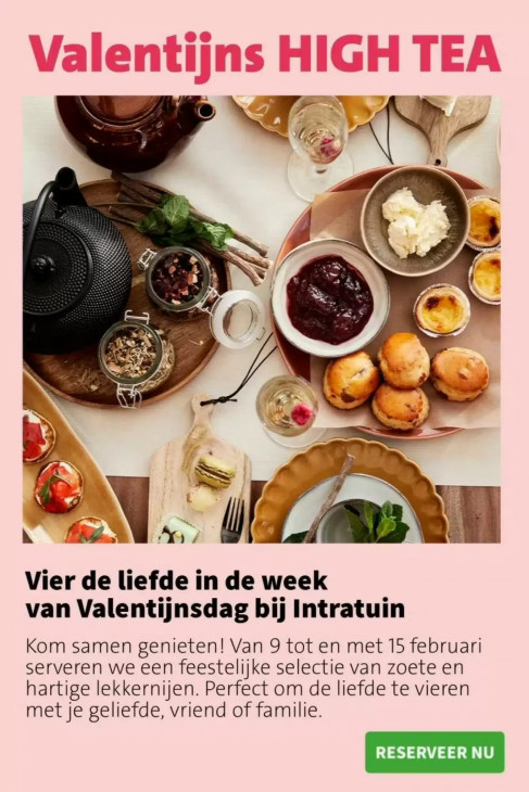 Intratuin Folder 02.02.2026