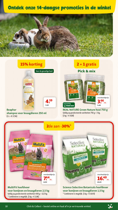 Maxi Zoo Folder 04.02.2026