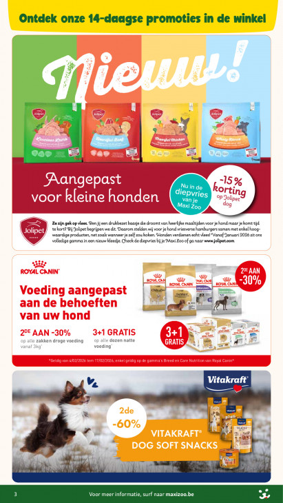 Maxi Zoo Folder 04.02.2026