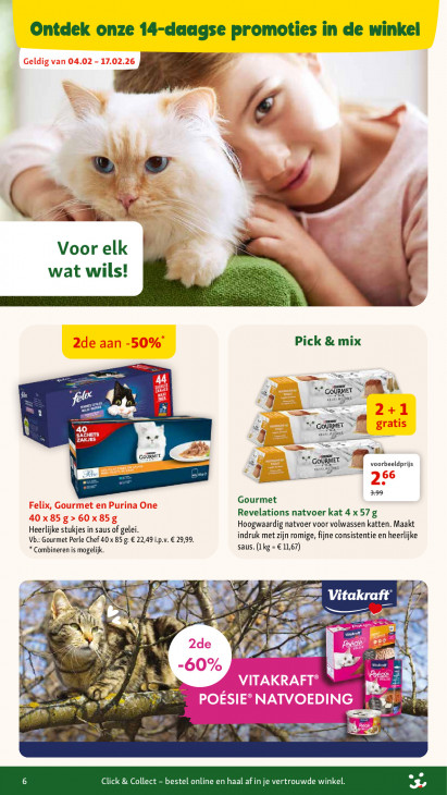 Maxi Zoo Folder 04.02.2026