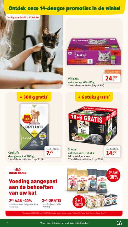 Maxi Zoo Folder 04.02.2026