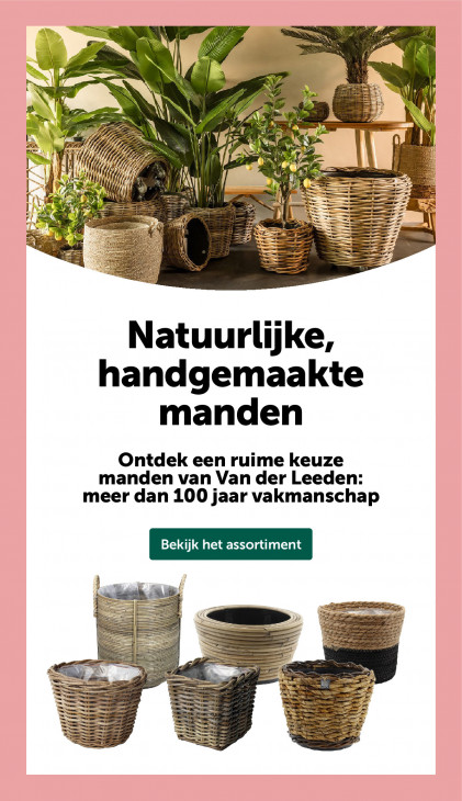 AVEVE Folder 04.02.2026