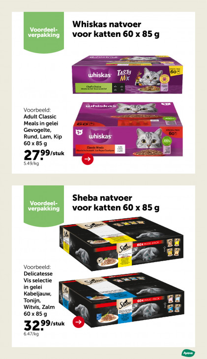 AVEVE Folder 04.02.2026