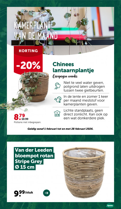 AVEVE Folder 04.02.2026