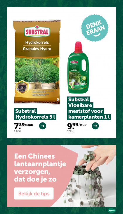 AVEVE Folder 04.02.2026