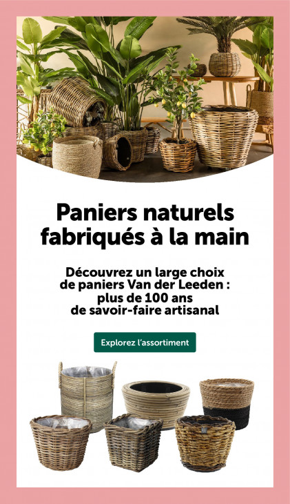 AVEVE Dépliant 04.02.2026