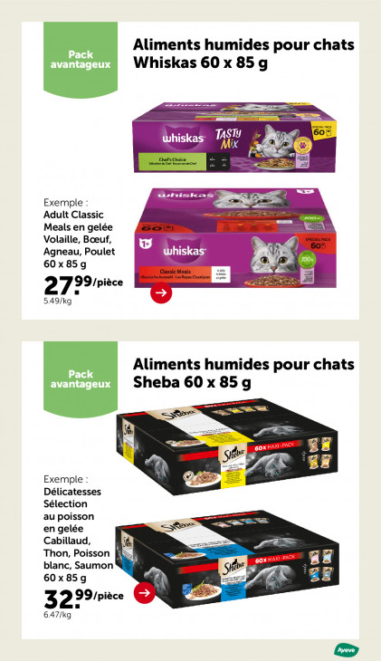 AVEVE Dépliant 04.02.2026