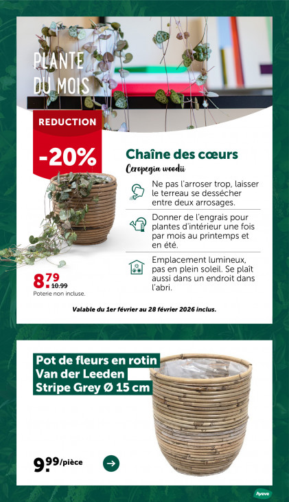 AVEVE Dépliant 04.02.2026