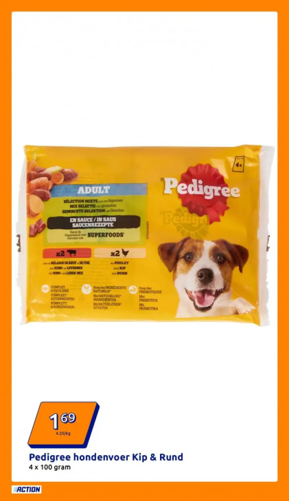 Action Folder 04.02.2026