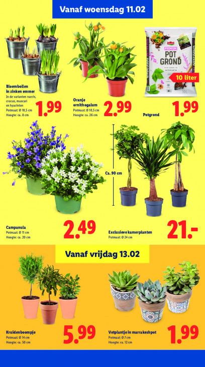 Lidl Folder 09.02.2026