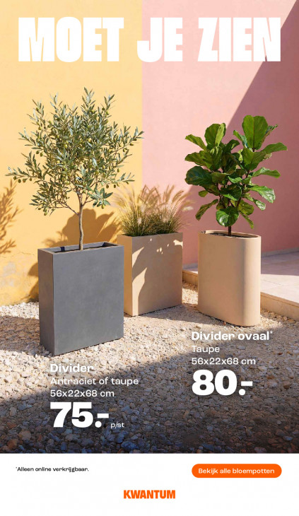 Kwantum Folder 02.02.2026