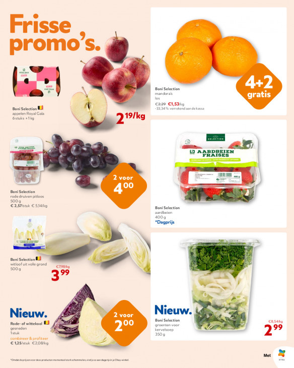 Okay Folder 11.02.2026