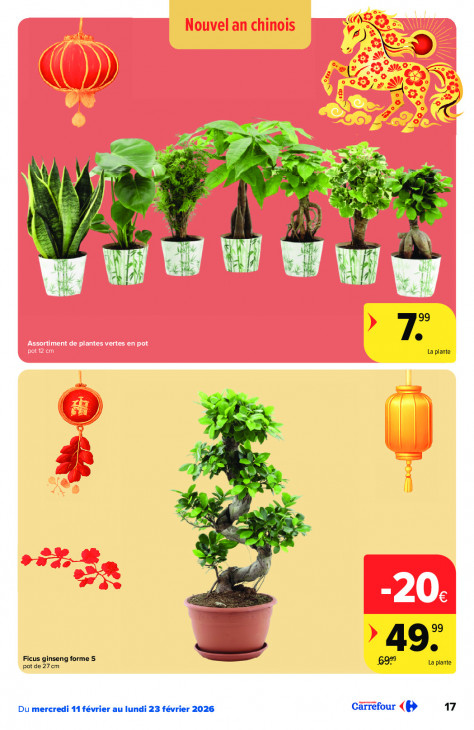 Carrefour Dépliant 11.02.2026