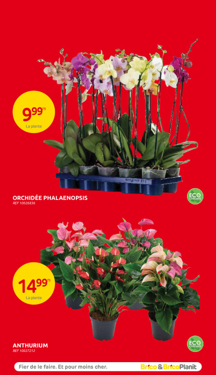 Brico Plan-it Folder 11.02.2026