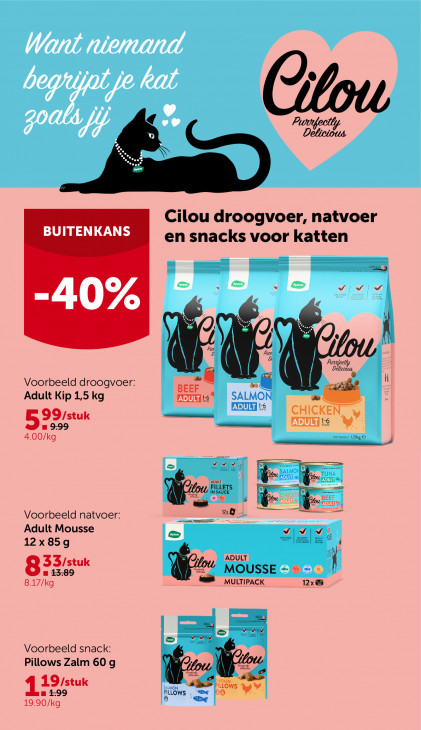 AVEVE Folder 11.02.2026