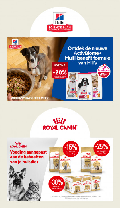 AVEVE Folder 11.02.2026