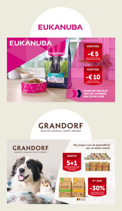 AVEVE Folder 11.02.2026