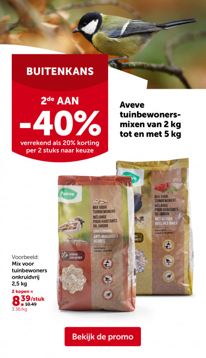 AVEVE Folder 11.02.2026